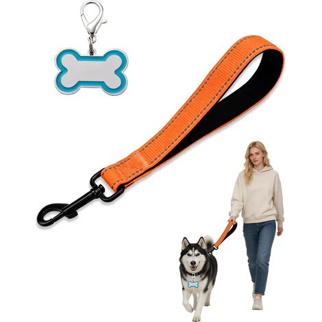 Laisse Courte pour Chien, 1 Pièce en Nylon Réfléchissant - Entraînement (1/5)
