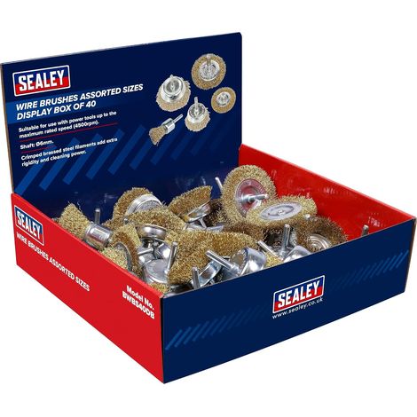 BWBS40DB Boîte de 40 brosses métalliques de tailles assorties (1/3)