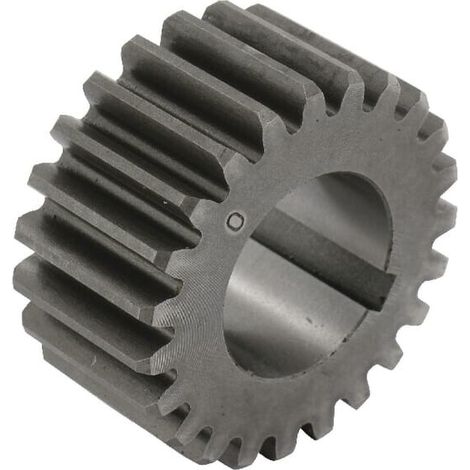 Zahnrad 23T mit 6mm Passfedernut B.P. BATTIONI PAGANI AME33 (1/2)