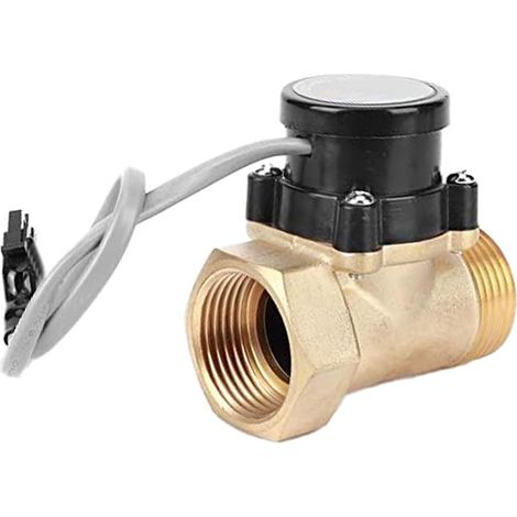 G1-Zoll-Durchflusssensor für Wasserpumpen, Wasserdurchflussschalter, magnetischer automatischer Schalter, Ersatzteil (1/5)