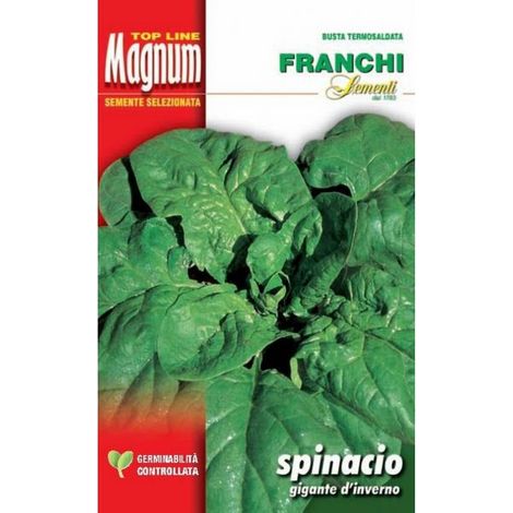 SEMI SPINACIO GIGANTE D'INVERNO FRANCHI SEMENTI