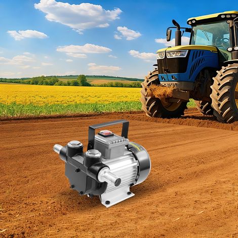 Diesel Transferpumpe 550W, 60L/min, Selbstansaugend, Ideal für Baumaschinen, Traktoren, Schiffe, EU-Stecker (1/5)