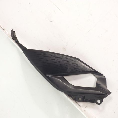 [GEBRAUCHT] [GEBRAUCHTES PRODUKT] Linker Seitenschutz original für Motorrad (1/3)