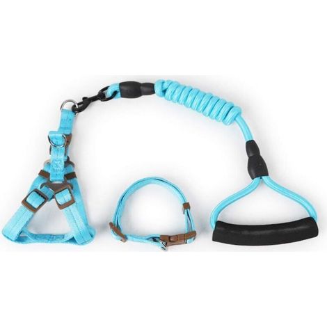 Laisse en corde pour chien Laisse en corde durable avec poignée rembourrée et ensemble de laisse pour chiens de petite, moyenne et grande taille