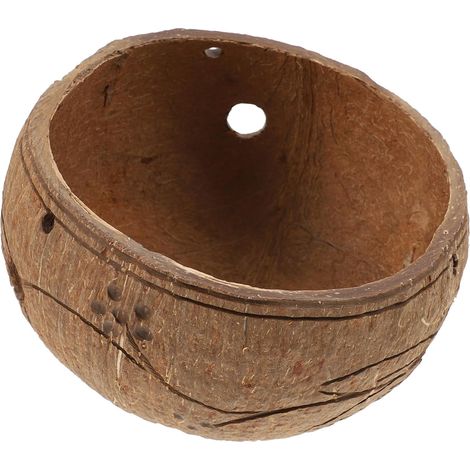 Kisangel 1 pièce Pot suspendu naturel pour plantes succulentes et bonsaïs (1/5)