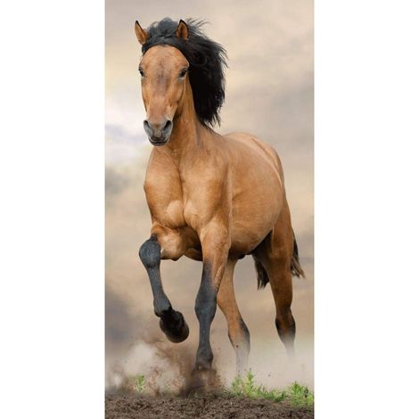 Générique Unbekannt Telo mare cavallo marrone, 70 x 140 cm, 000
