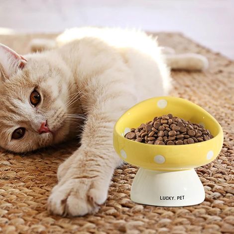 Comedero elevado de cerámica para gatos - Comedero elevado inclinado antivómito para gatos de interior - Adecuado para bigotes - Para gatitos, gatos y cachorros - (B)