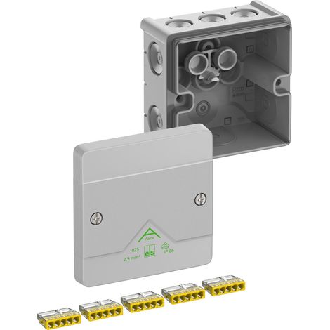 Spelsberg Abox 025-2,5² Cassetta di derivazione, IP66, senza alogeni, 80242001
