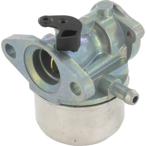 Carburateur BRIGGS ET STRATTON 799868