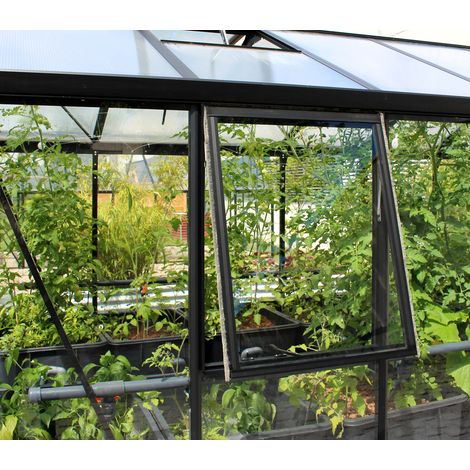 Vitavia Seitenfenster "Z" für Vitavia Gewächshäuser, schwarz, 3mm ESG (1/2)