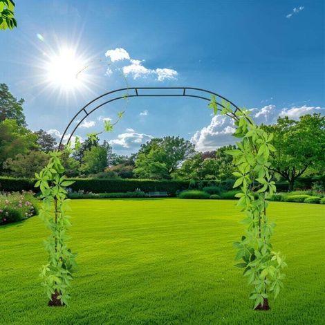 Arche à rosiers, métal, treillis, jardin, H : 250 cm, 2 largeurs : 235 ou 180 cm, plantes grimpantes, noir (1/4)