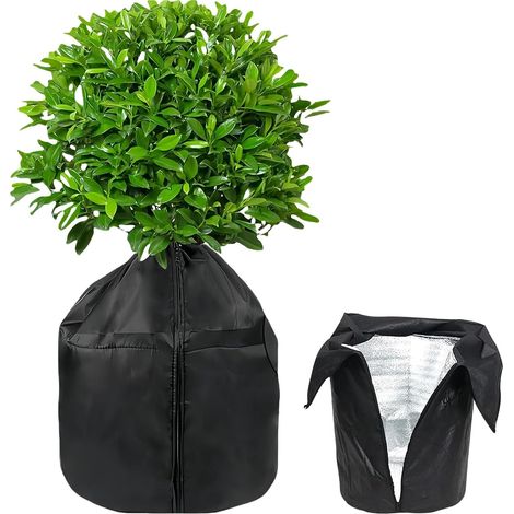 Housse d'hivernage pour plante en pot 45 x 50 cm, protection contre le froid et le gel (1/5)