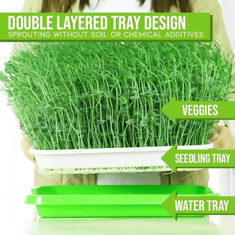 Plateau de semis à double couche, plateau de pépinière hydroponique, pots de semis de jardin (1/5)