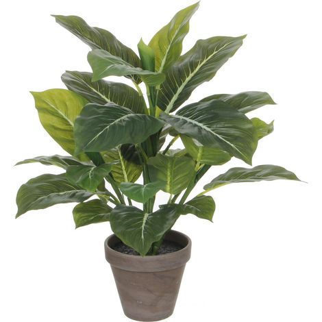 Plante Artificielle Evergreen avec Pot en Terre Cuite Gris Basalte H49 x Ø40 cm - PANGIVO (1/5)