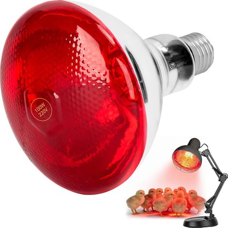 Lampe chauffante à lumière rouge E27 pour animaux domestiques  Ampoule chauffante à lumière rouge culot E27, adaptée aux animaux domestiques (chats, poulets, lapins, reptiles) (1/5)