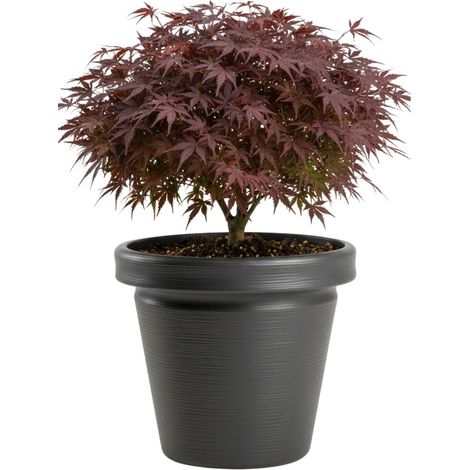Blumentopf Srtia Riflo anthrazit h40x46 cm