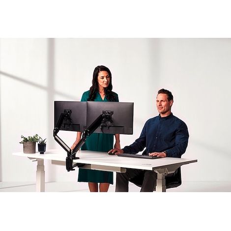 Bras Double Porte Ecran Fellowes Platinum (1/5)