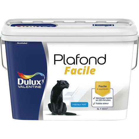 Peinture Plafond Facile Dulux Valentine Mat Blanc 5 L