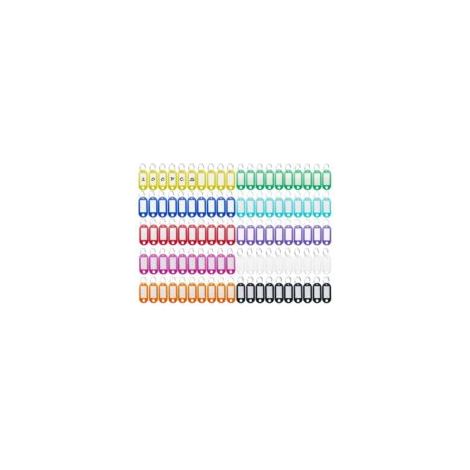100 Pièces Porte-Clés, Étiquettes de Clé en Plastique, Inscriptibles Porte Clef Couleur en 10 Couleurs, en étiquettes d'identification avec Porte-Clé, pour Clefs, Bagages ou bureau - Crezuo (1/4)