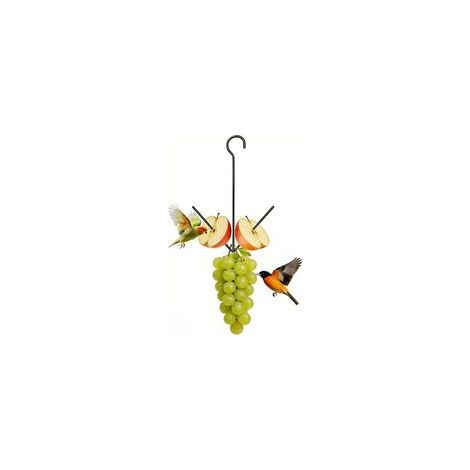 Mangeoire à oiseaux en fer à suspendre avec crochet orange pour patios amateurs de jardin Mangeoire à oiseaux en métal (1/4)