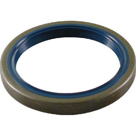 Dichtring ZF 0634309112