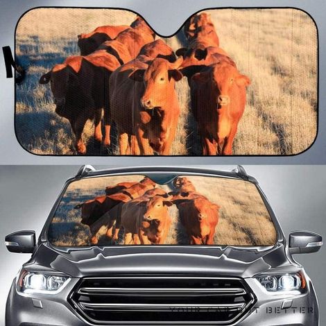 Couverture Pare-Brise Voiture Cool Dog Boxer Couple Conduite