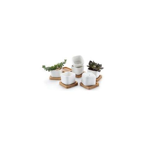 Lot de 6 pots à succulentes hexagonaux en céramique avec plateau en bambou blanc, cache-pot pour cactus et plantes grasses – Design géométrique, drainage optimal–