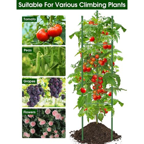tuteur tomates treillis jardin Cage à Tomates Support 120cm Treillis Plante Grimpante Exterieur Obélisque Treillis pour Jardin (1/5)