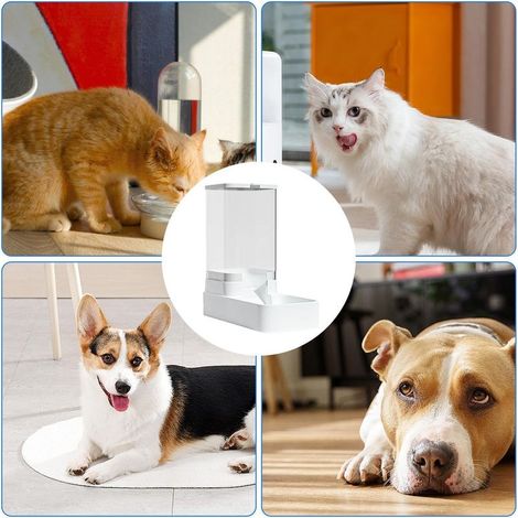 Automatischer Futter- und Wasserspender für Hunde und Katzen – Futter- und Wasserspender (1/5)