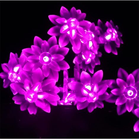 Guirlande Lumineuse Solaire - Fleur De Lotus - Étanche - 5 M - 20 LED - Pour Jardin Terrasse Pelouse Extérieur - 1 Pièce (1/5)