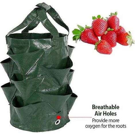 Sac de culture pour fraises, jardinière DIY en tissu PE, outil de jardinage pour la plantation de légumes, pot épais (1/2)