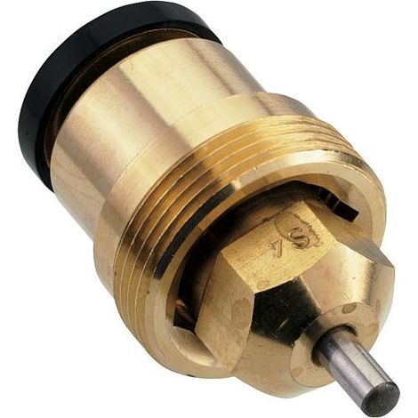 Insert thermostatique pour RAVL 15/20 BG