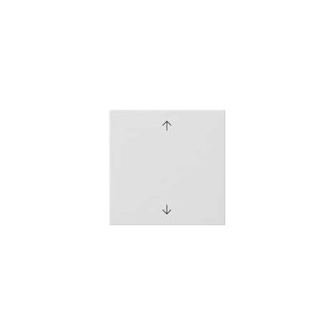 GIRA 536103 ÉLÉMENT DE COMMANDE 1 F WS M. ABD F. JALOUSIEEINS GLZ AVEC CAPOT