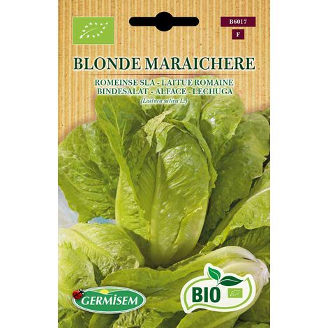 Graines Laitue Romaine BLONDE MARAICHERE