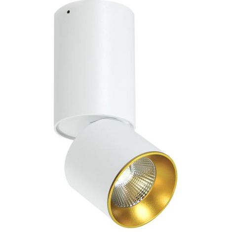 Spot saillie orientable blanc/or Ø6cm GU10 Nixa Polux (1/3)