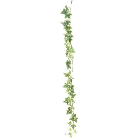 Guirlande de Lierre artificiel - H 180 cm - 68 feuilles D11 cm et 9 cm Blanc-vert - couleur: Blanc-vert (1/3)