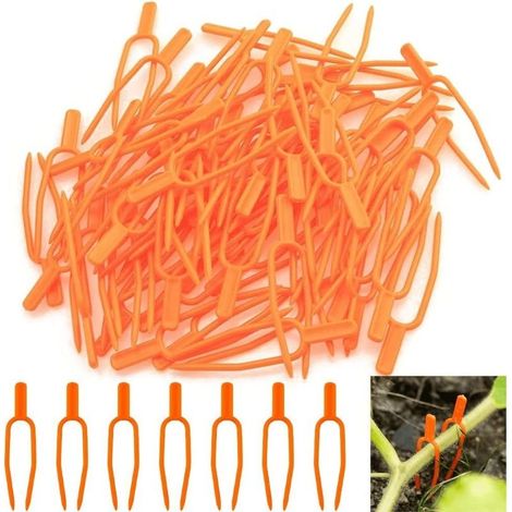Fork of Plantation of Cool 150pcs Fork agricultural for the Fastening Pliers Plant Clip Fastening Fitment Tools of Garden (1/5)