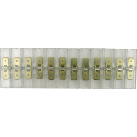 Connettore a morsetto con terminali piatti L=41mm 12x6.3mm