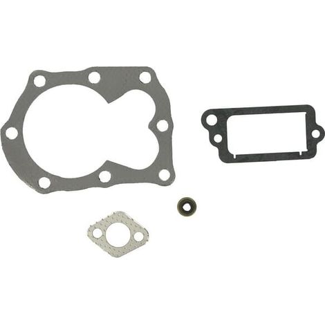 Set di guarnizioni OVHL BRIGGS ET STRATTON 498526