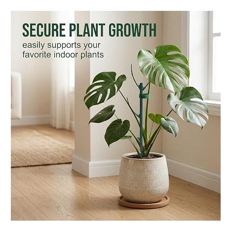 Plant Stakes with Ties, Practical for Plant Planning, Monstera Stake, Indoor Plant Stake, Sphagnum Stake (1/4)