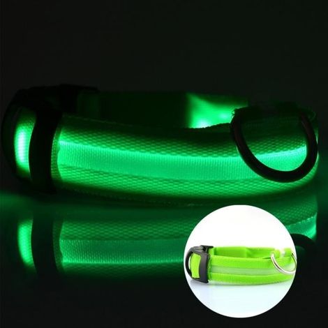 Collier lumineux Light Collar USB rechargeable Taille L. - Pour chien - Vert (1/3)