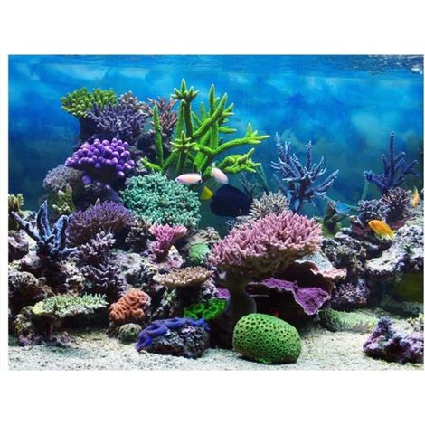 1 pièce Fond d'aquarium PVC adhésif, décor sous-marin récif de corail, autocollant mural pour aquariums et terrariums