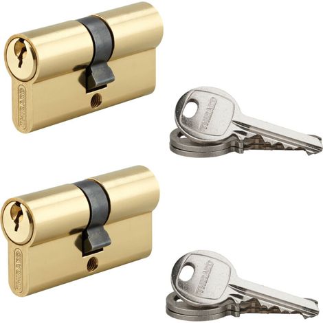 Lot de 2 cylindres SA laitonné 30X30mm s'entrouvrant 6 clés – Pour accès sécurisé – Compatible avec systèmes de verrouillage standard (1/2)