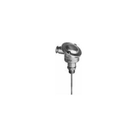Sonde de température à immersion Pt100 100 mm