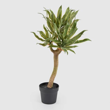 EDG AGAVE CHIC CON VASO H70CM, CASA, ACCESSORI DECORATIVI