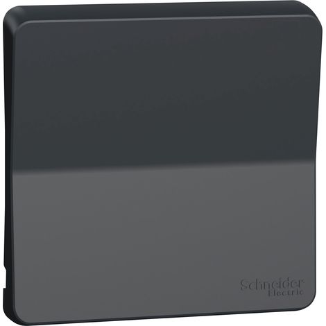 Mureva Styl Enjoliveur avec symbôle lumière IP55 IK08 gris SCHNEIDER ELECTRIC MUR34202 (1/5)