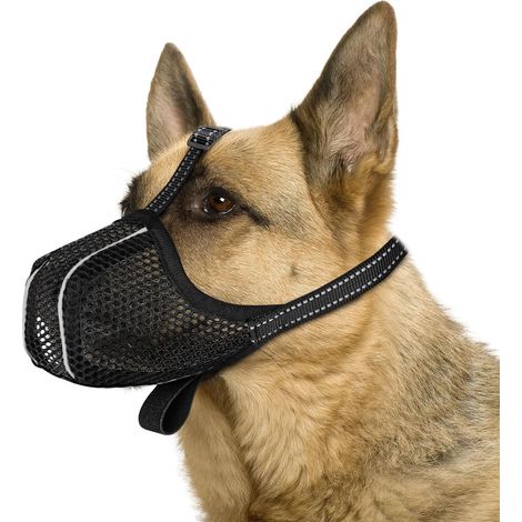 Dog Muzzle for Large Dogs, Prevent Eating, Chewing, Bite, Breathable Reflective Adjustable Dog Muzzle for Small Medium Large Dogs, M (1/5)