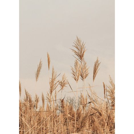 Papier peint panoramique - Pampas - 130 cm x 182 cm (1/2)