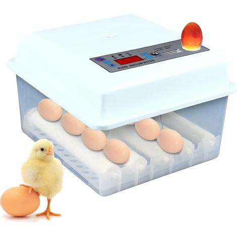Inkubator Brutmaschine Vollautomatisch Brutmaschine Mini Eierbrüter Hühnerbrutkasten Brutapparat Flächenbrüter 16Eier für Bruteier Enteneier Gänseeier (1/5)