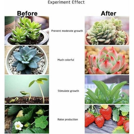 Ampoule Horticole E27 - LED 30 W - Spectre Complet 380-840 nm - Pour Culture Intérieure Hydroponique Serre Potager - 1 Pièce (1/5)